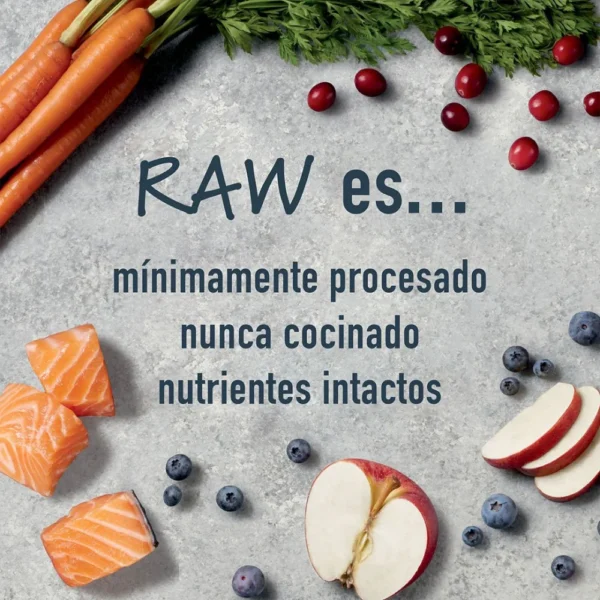 Instinct Raw Boost Whole Grain Salmon para perro 20lb - Image 4