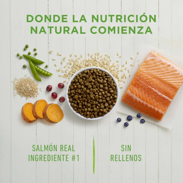 Instinct Be Natural Salmón para perros | 2kg y 10.8kg - Image 3
