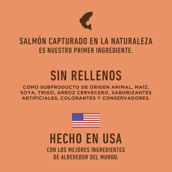 Instinct Be Natural Salmón para perros | 2kg y 10.8kg - Image 4