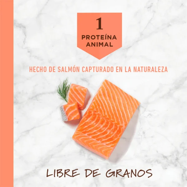Instinct LID Salmón para perros | 1.8kg y 9kg - Image 3