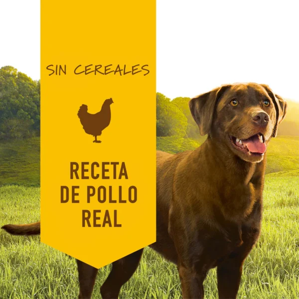 Instinct comida húmeda de pollo para perros - Nutrición natural y completa - Image 2