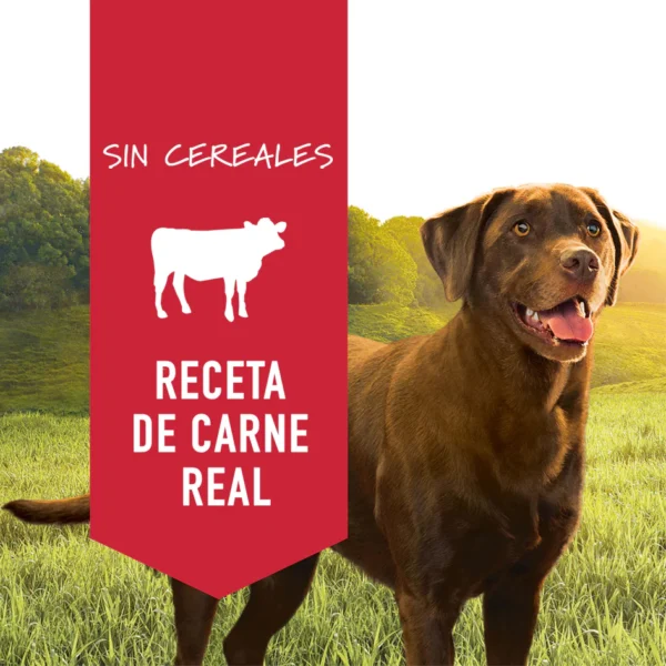 Instinct comida húmeda de res para perros – Lata 13.2 oz - Image 2