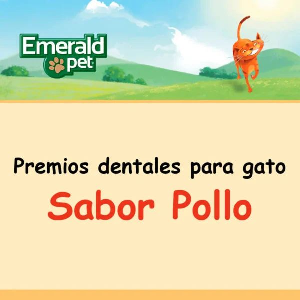 Premios dentales para gatos sabor pollo